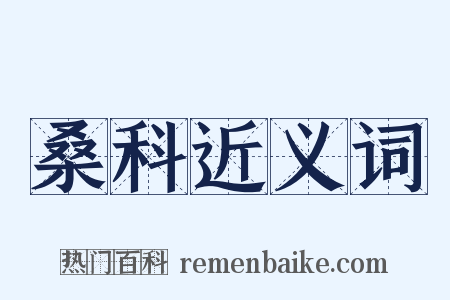 桑科近义词是什么意思的图片